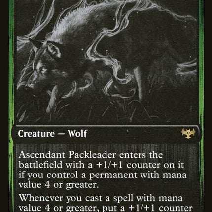 453-ascendantpackleader