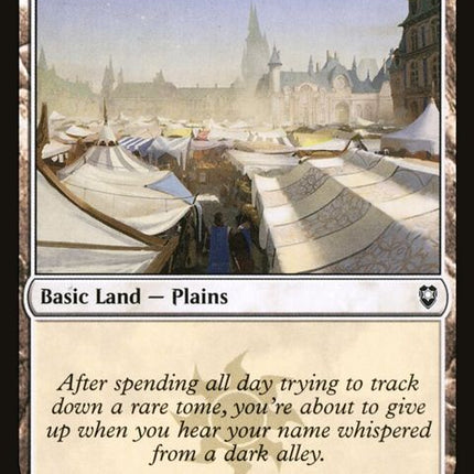 453-plains