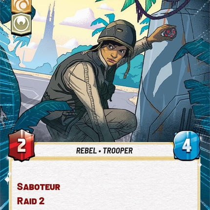 456-rogueoperative-a