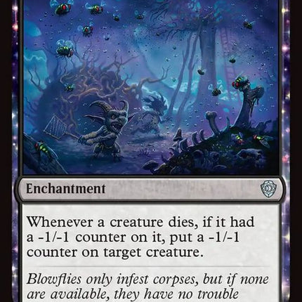 46-blowflyinfestation