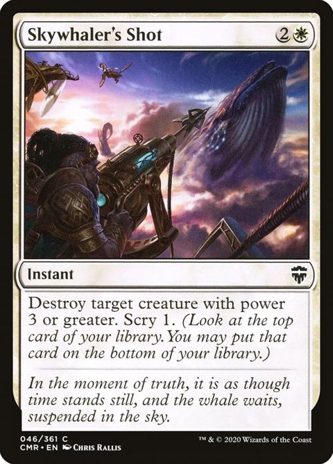 46-skywhalersshot
