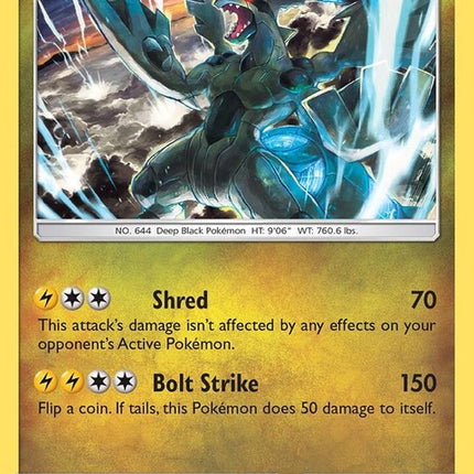 46-zekrom