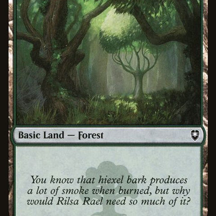 467-forest