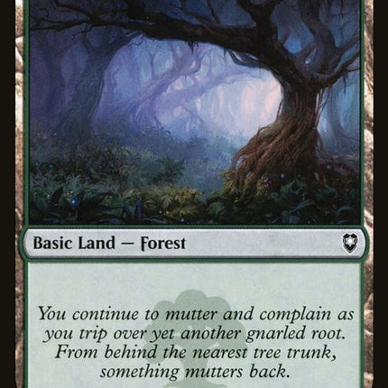 469-forest