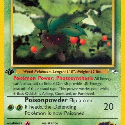 47-erikasoddish