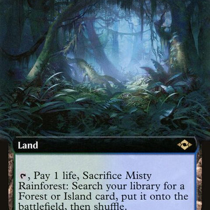 477-mistyrainforest