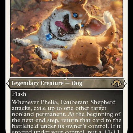 478-pheliaexuberantshepherd