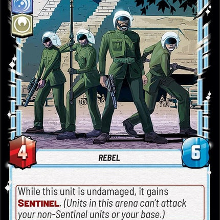 48-vigilanthonorguards-a