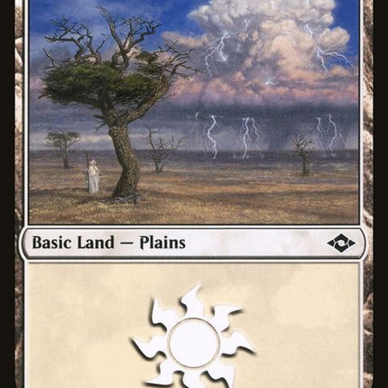 481-plains