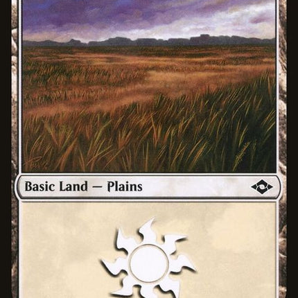 482-plains