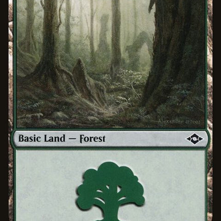 489-forest