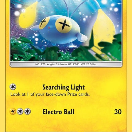 49-chinchou