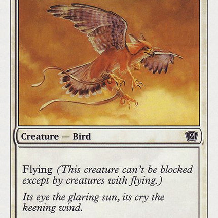 49-suntailhawk