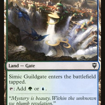 493-simicguildgate