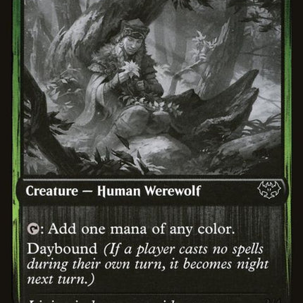 493-weaverofblossomsblossomcladwerewolf