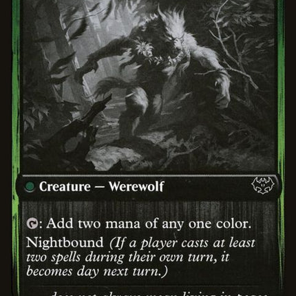 493-weaverofblossomsblossomcladwerewolf