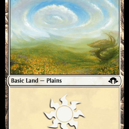 497-plains