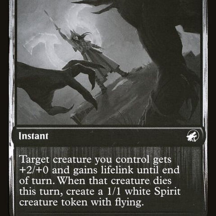 5-blesseddefiance