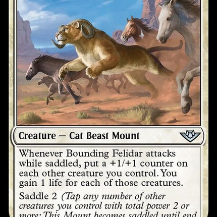 5-boundingfelidar