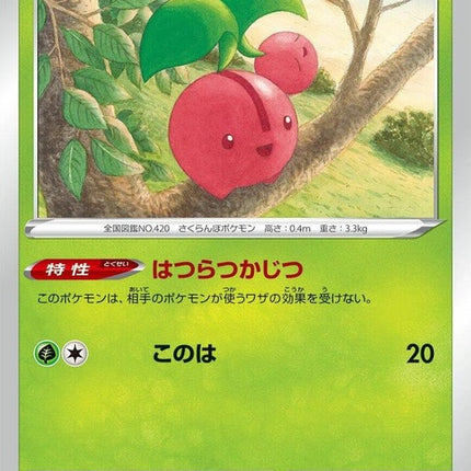 5-cherubi