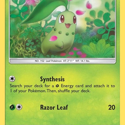 5-chikorita