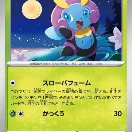 5-illumise