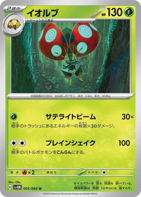 5-orbeetle