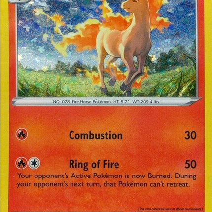 5-rapidash