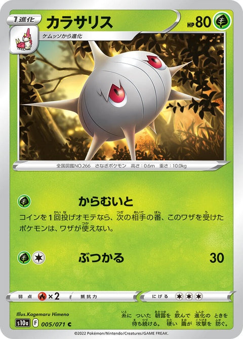 5-silcoon