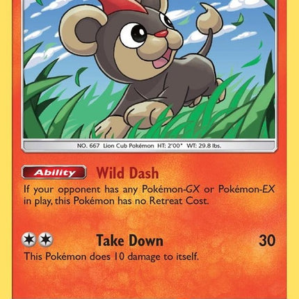 50-litleo