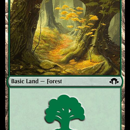 505-forest