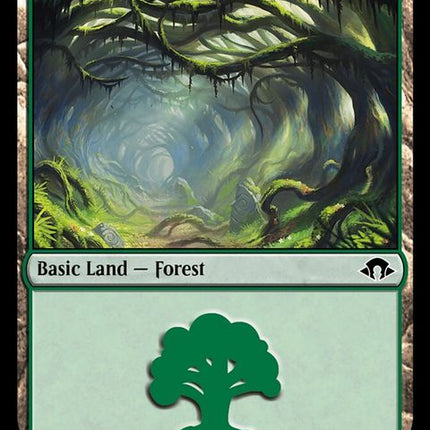 506-forest
