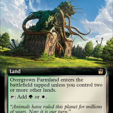 506-overgrownfarmland