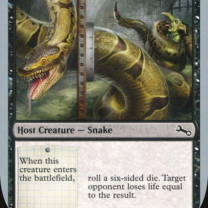 51-bigboaconstrictor