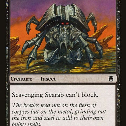 51-scavengingscarab