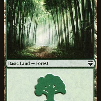 510-forest