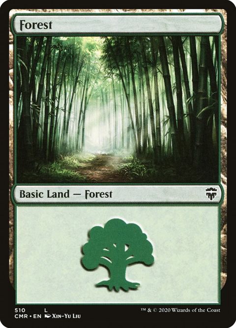 510-forest