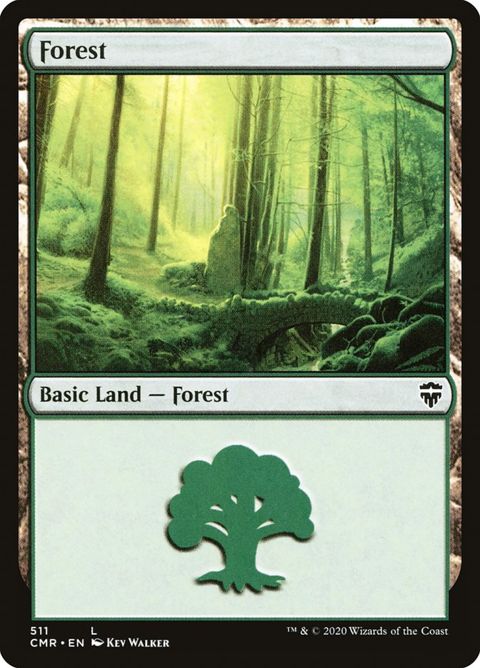 511-forest
