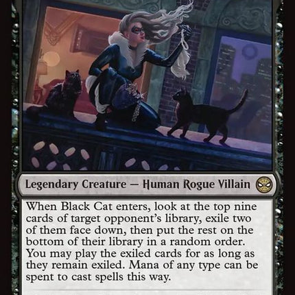 52-blackcatcunningthief