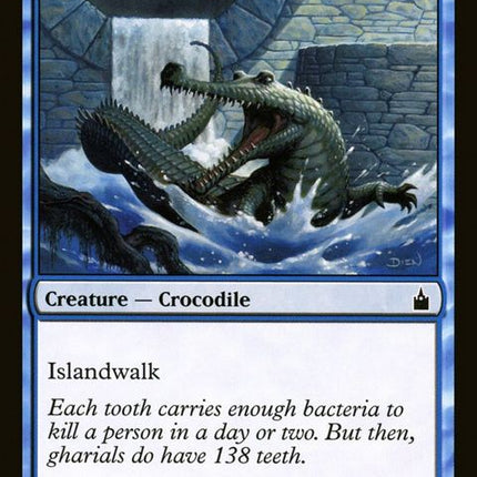 52-grayscaledgharial