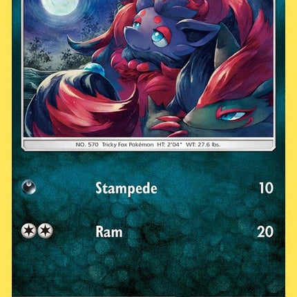 52-zorua