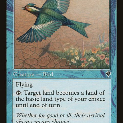 53-dreamthrush