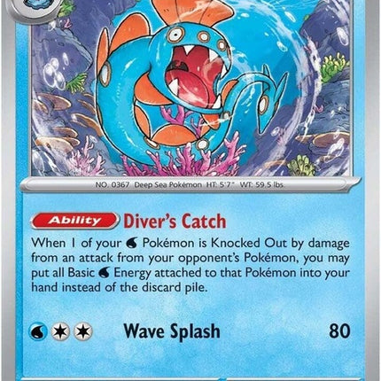 55-huntail