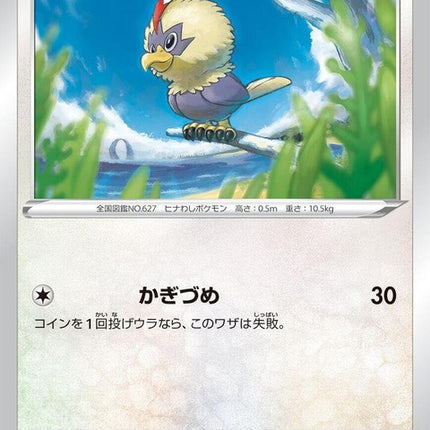 55-rufflet