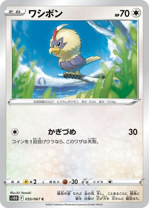 55-rufflet