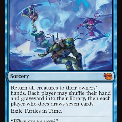 55-turtlesintime