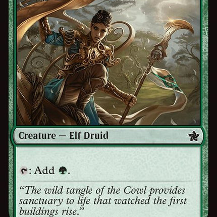 554-druidofthecowl