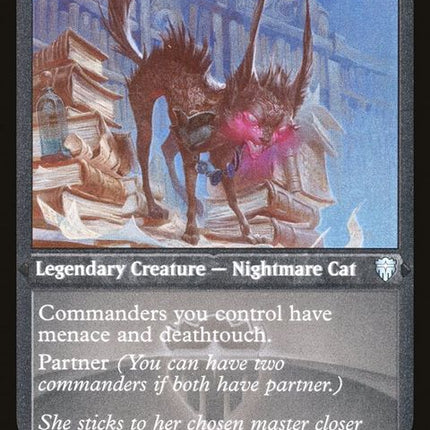 564-falthisshadowcatfamiliar