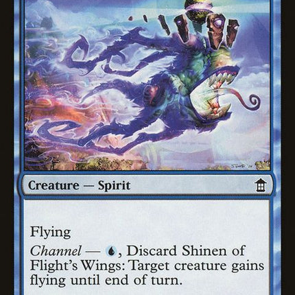 57-shinenofflightswings