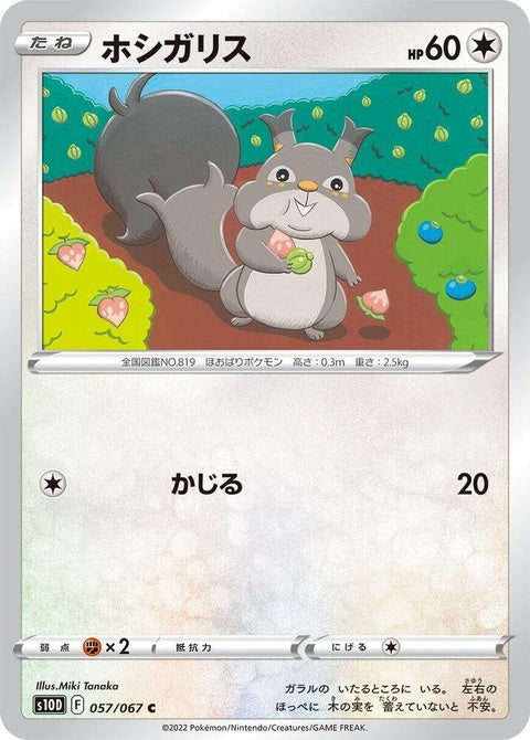 57-skwovet